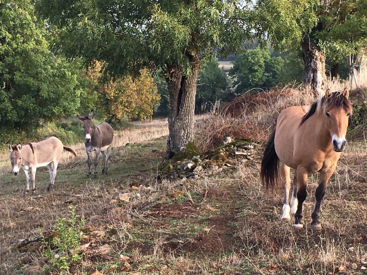 Azay-le-Brule Gites Les Demeures De Valette المظهر الخارجي الصورة